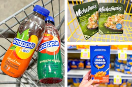 dollar general snapple, michelina's, kraft 3-photo collage