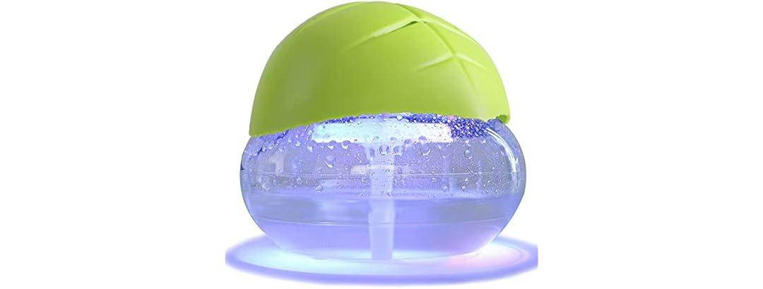 Air Purifier Revitalizer