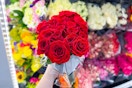 costco-24-count-roses