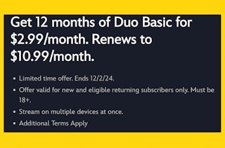 disney-plus-fine-print-black-friday-deal