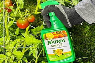 amazon natria neem spray 2022 2 1648822691 1648822691