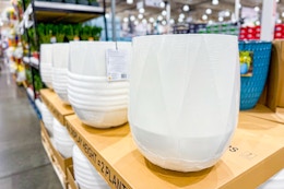 Large Ceramic and Concrete Planters, Under $50 at Costco card image