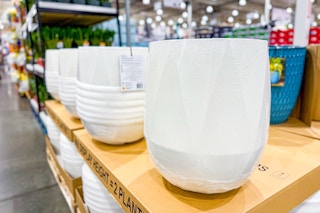 costco concrete planter