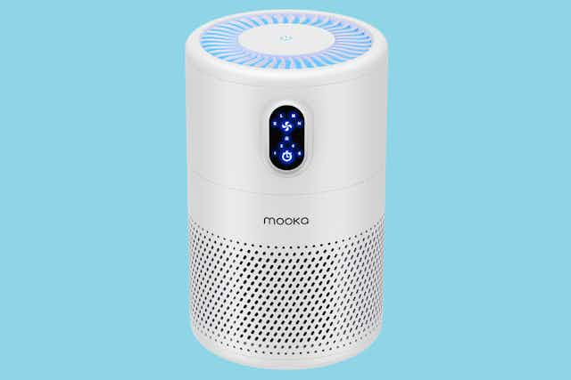 This Air Purifier Was Rated Amazon's Choice — Get It for $40 (Reg. $170) card image