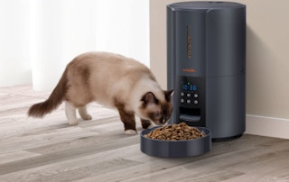 cat feeder amazon 1683681027 1683681027