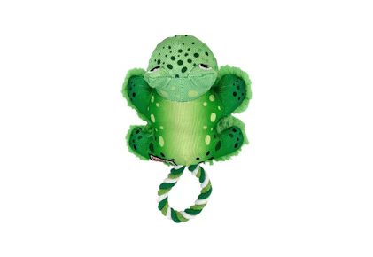 Kong Dog Toy