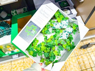 aldi st. patrick-s day wreath