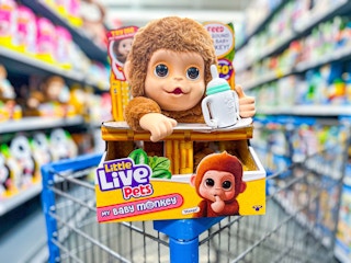 Little Live Pet Money on edge of Walmart shopping cart