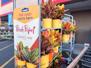 potted fall plants at Lowes