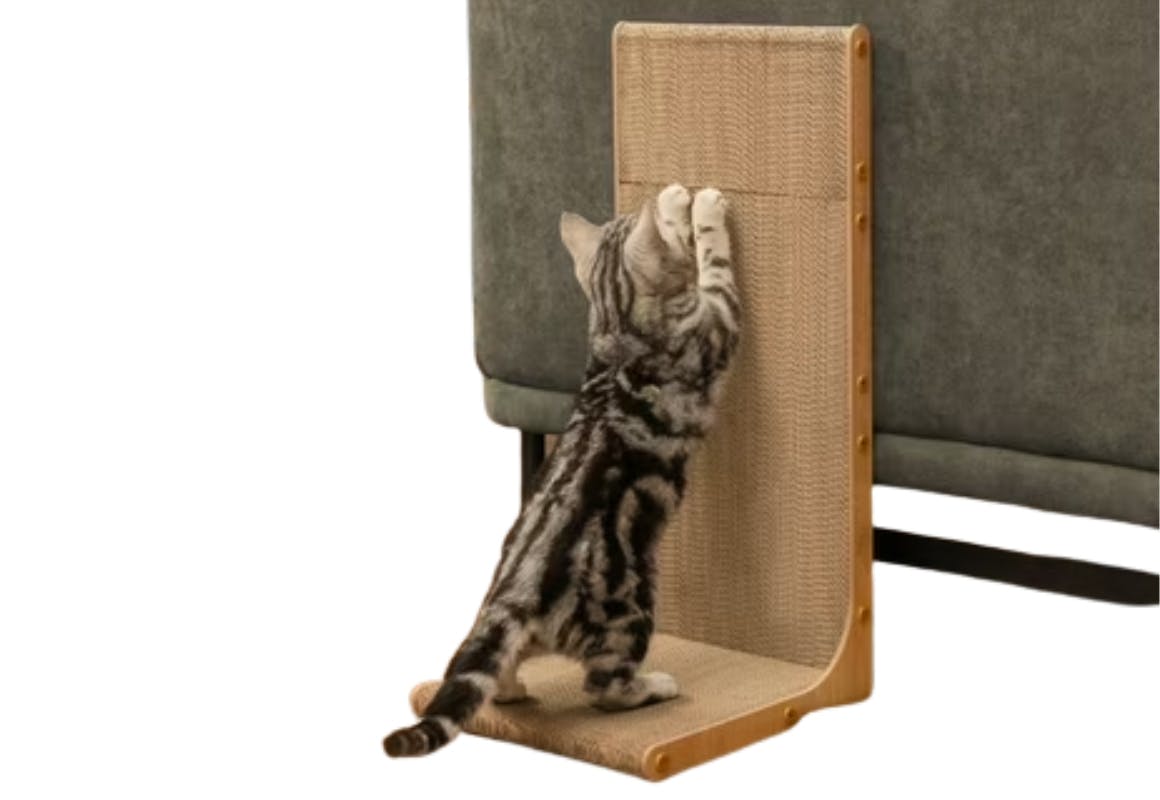 Cat Scratcher Cardboard