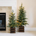 Boxed Pine Trees with Twinkle Lights 2-Pack