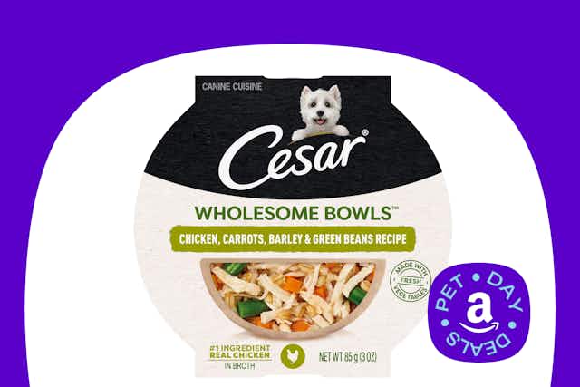 Cesar Wholesome Bowls 10-Pack, as Low as $15.81 During Amazon Pet Day card image