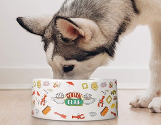 A dog eating out of a Friends themed bowl
