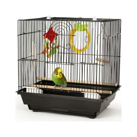 Bird Cage Starter Kit