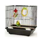 Bird Cage Starter Kit