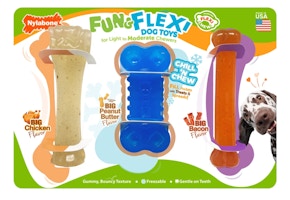 Nylabone Dog Toy Set