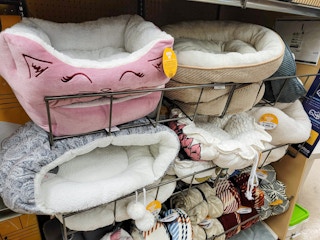 cat beds