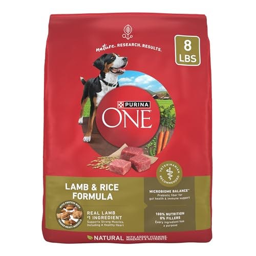 Purina One Dry Dog Food