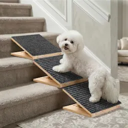 Dog Ramp for Stairs 3-Pack