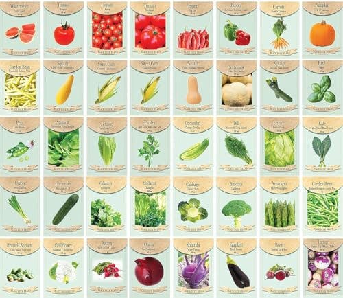 Assorted Vegetable Seed Packets