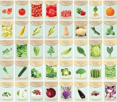 Assorted Vegetable Seed Packets