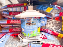 Get This Bestselling Bird Feeder for Only $7 at Walmart card image
