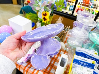 dollar general true living tray