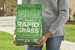 amazon-scotts-turf-builder