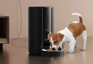 a puppy eating dog food out of the black automatic pet feeder