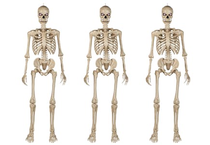 Home Accents Poseable Skeletons Set