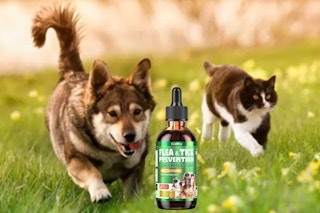 Flea drops B0F6YCGDB5