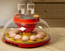 Score a 12-Egg Incubator for $31.49 on Amazon (Reg. $63) card image