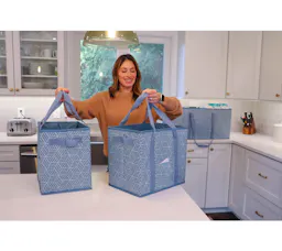 Collapsible Storage Totes
