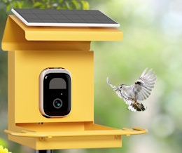 Score a Metal Smart Bird Feeder While It's $54.50 on Amazon card image