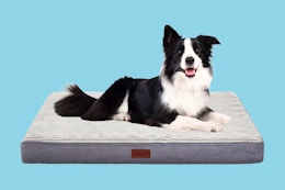 Walmart Ophanie large orthopedic dog bed