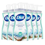 Dial Antibacterial Hand Wash 6-Pack