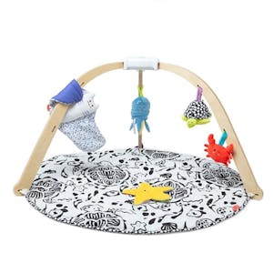 Melissa & Doug Wooden Baby Play Gym