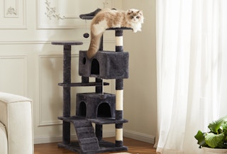 Amazon Cat Tree Tower 2025 2