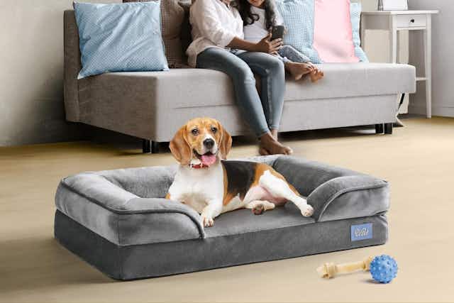 Orthopedic Sofa Dog Bed, Just $22 on Amazon (Reg. $50) card image