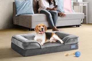 orthopedic-dog-bed-amazon