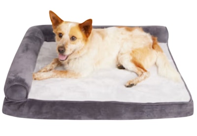 Orthopedic Dog Bed