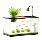Hydroponic Fish Tank