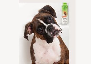 amazon tropiclean 1651504080 1651504080