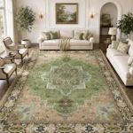 8x10 Area Rug