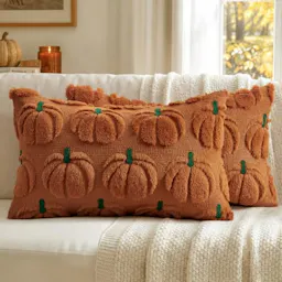 Pumpkin Pillow Covers 2-Pack