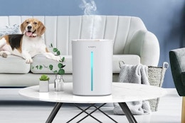 Large Room Humidifier, Just $19 on Amazon (Reg. $90) card image