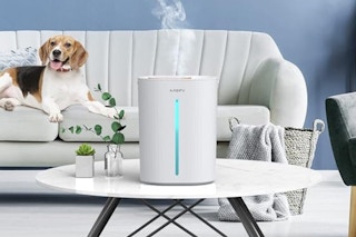 Humidifier