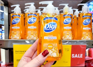 dial complete hand soap sv 1612378277 1612378277