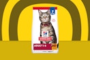 dry cat food on a yellow background