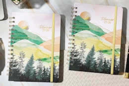 This 2025-2026 Planner Is Only $4 on Amazon  card image